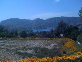 Farrar Green Home Lot